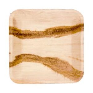 10 inch square standard palm leaf plate — Ecodyne wholesale tableware manufacturer