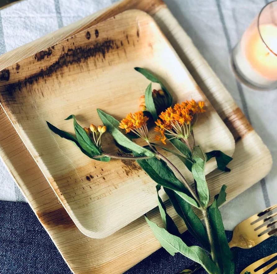 Palm leaf plates wholesale — Ecodyne Classic and Standard lines from manufacturer, 4 to 10 inch round and square formats