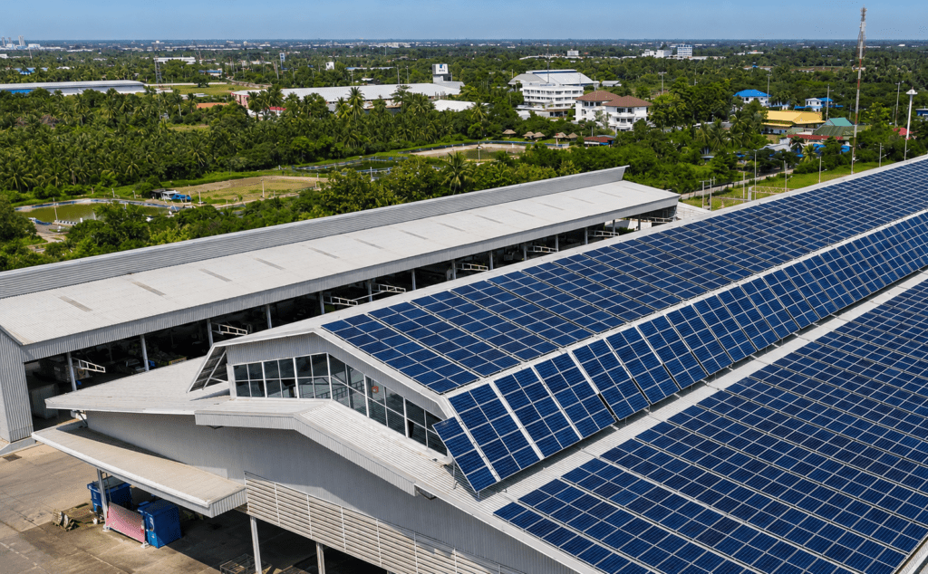 Industry report 2026 methodology — solar-powered palm leaf manufacturing facility, Ecodyne