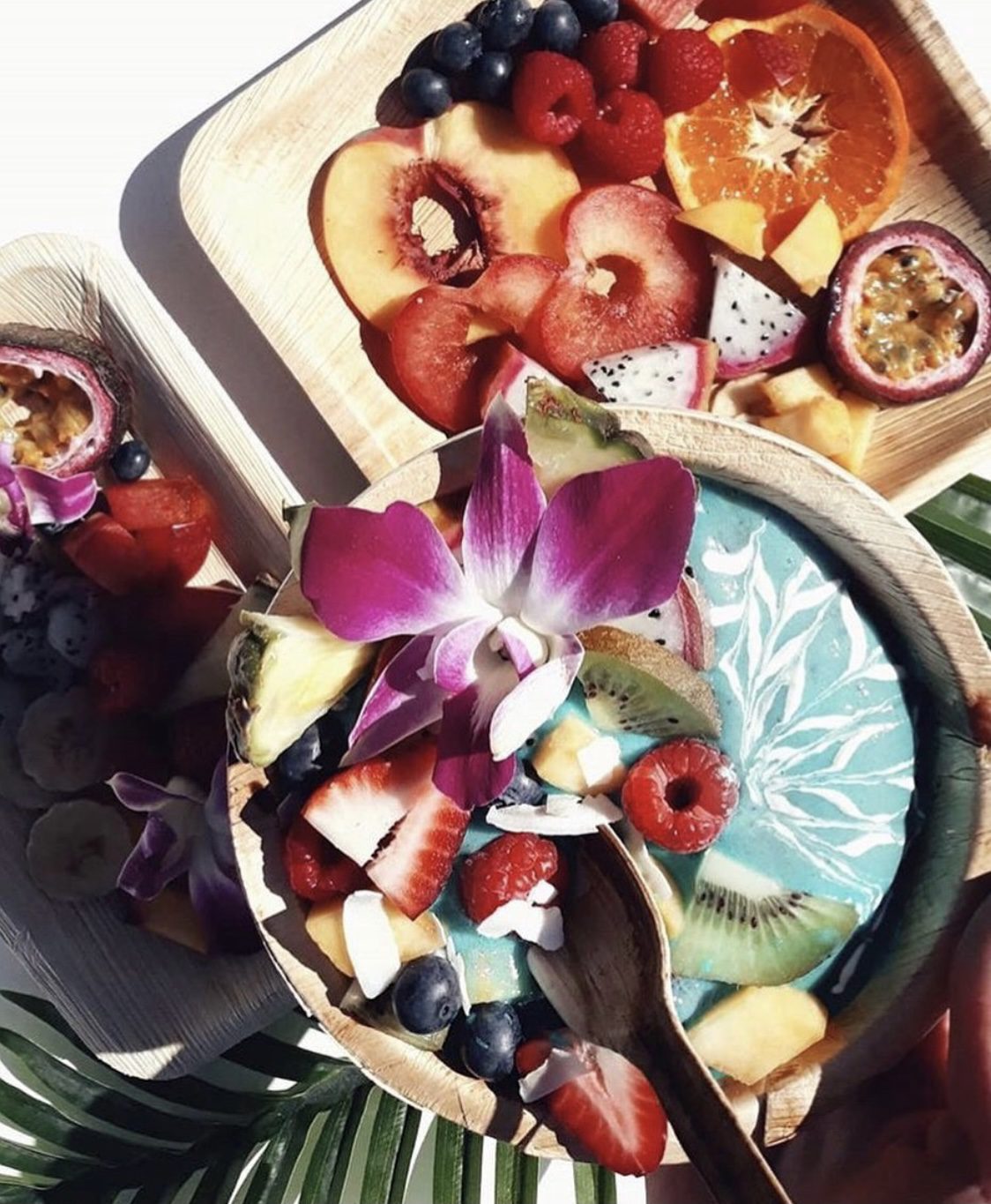 Areca palm leaf plates wholesale Netherlands — Ecodyne Tableware direct from manufacturer for Rotterdam and Amsterdam HoReCa distributors