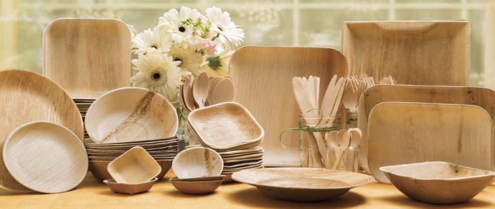 Palm Leaf Tableware Wholesale — Palm leaf plates wholesale family — round, square, rectangle and oval Ecodyne plates